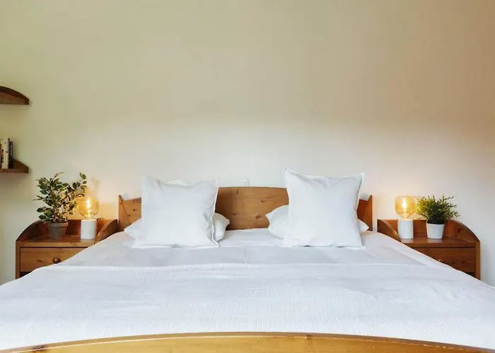 Auroch - - Cheminee - Parking - Vue - Calme Verbier