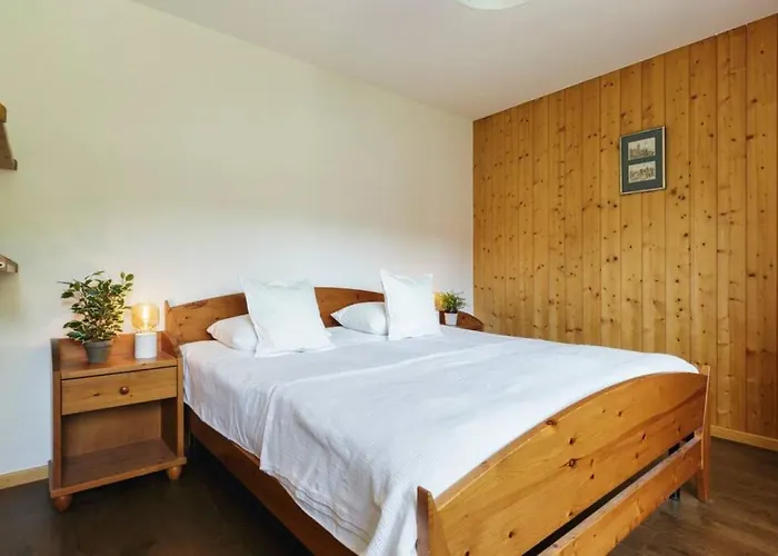 Auroch - - Cheminee - Parking - Vue - Calme Verbier